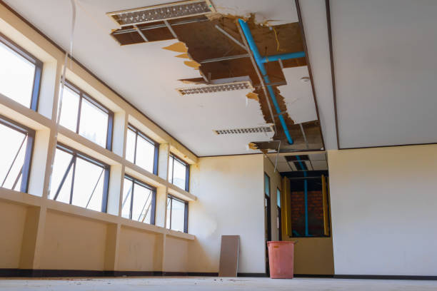 Best Sewage cleanup and water damage restoration  in Tontitown, AR