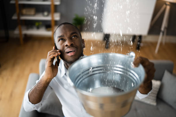 Best Local water damage restoration  in Tontitown, AR