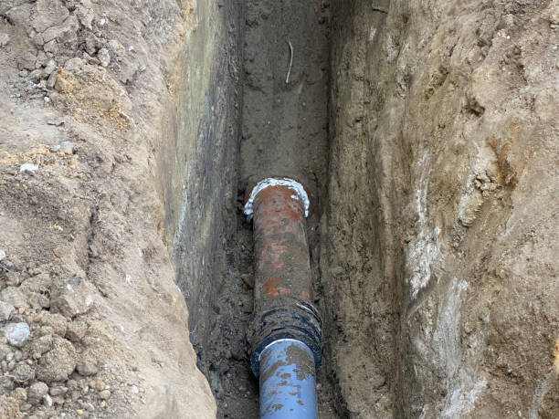 Best Flood restoration services  in Tontitown, AR