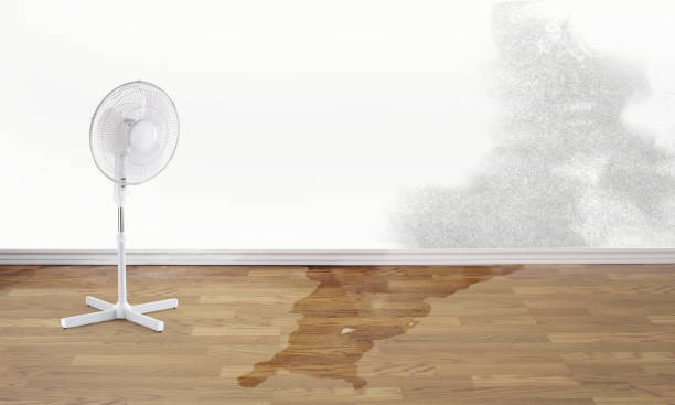 Best Water damage restoration near me  in Tontitown, AR
